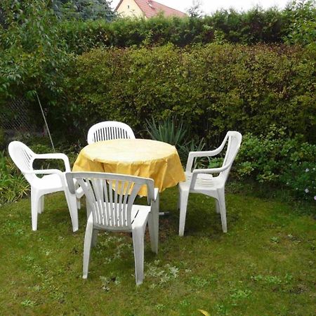 Ferienwohnung Winter Wittenberg Екстер'єр фото
